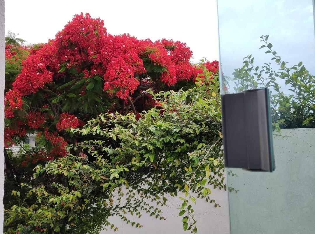 Residencial Acores Apartment *